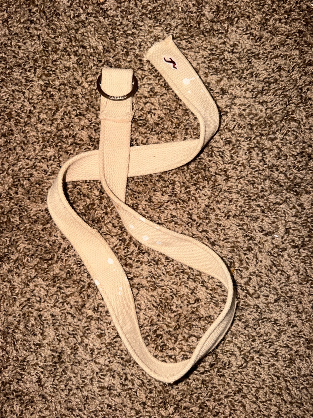 Vintage Hollister Beige Canvas D-Ring Belt with Embroidered Logo